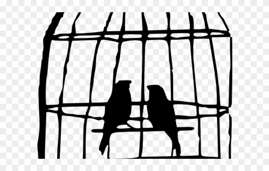 Cage Clipart Bird's - Bird In Cage Drawing - Png Download