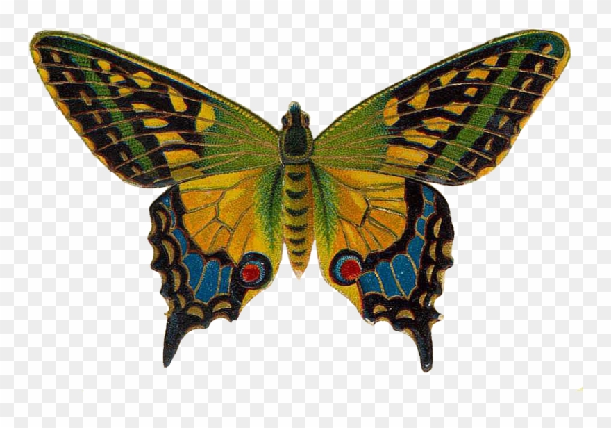 Flying Colors Second Nature Cd Clipart