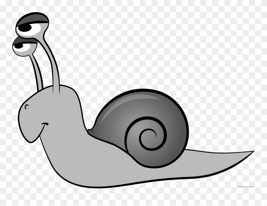 Cartoon Snail Animal Free Black White Images - Snail Transparent Cartoon Clipart
