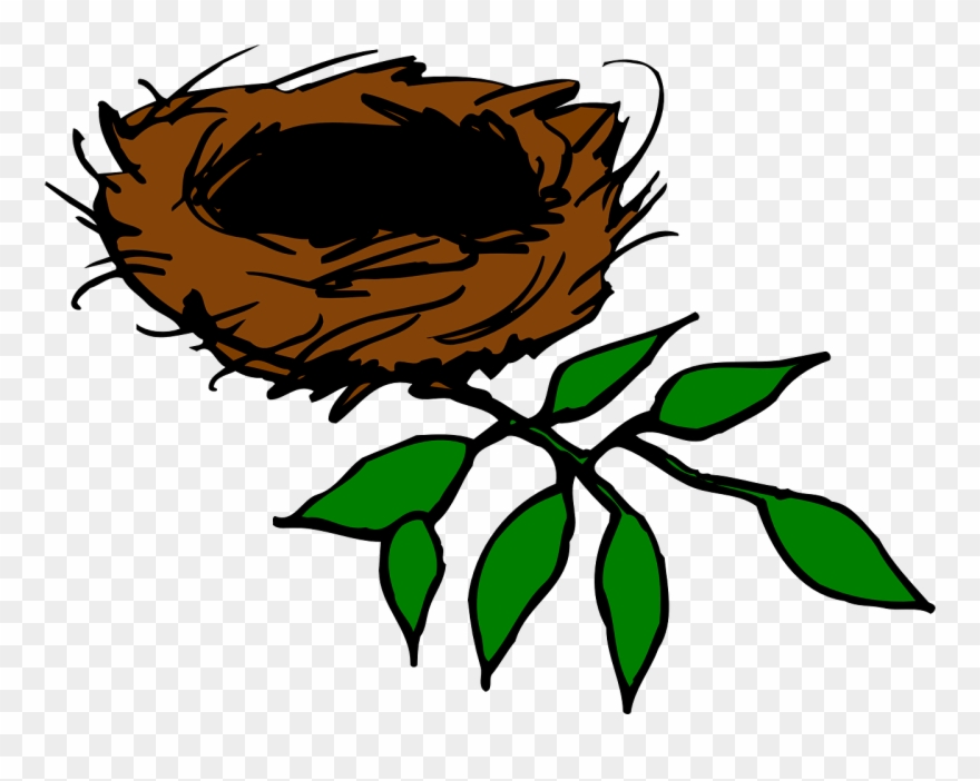 Bird's Nest Clipart - Nest In Tree Clipart - Png Download