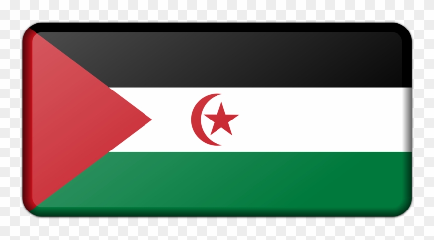 All Photo Png Clipart Transparent Png