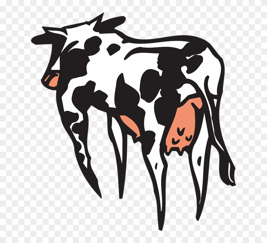 Cow Clipart Home - Cattle - Png Download