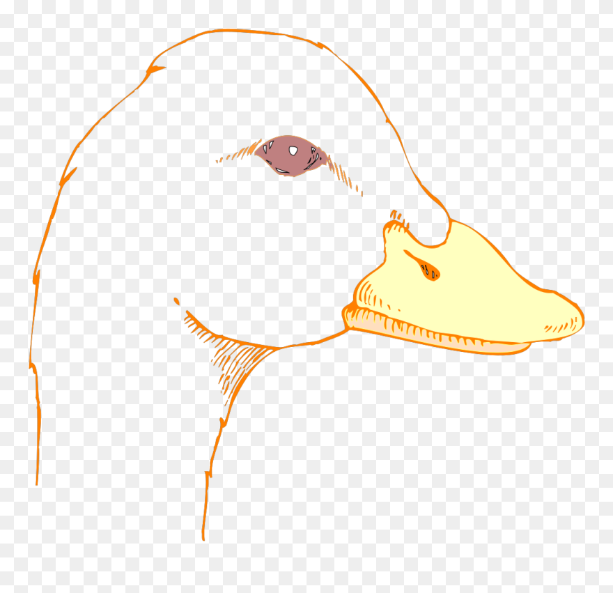 Duck Drawing Cliparts - Draw A Duck Head - Png Download