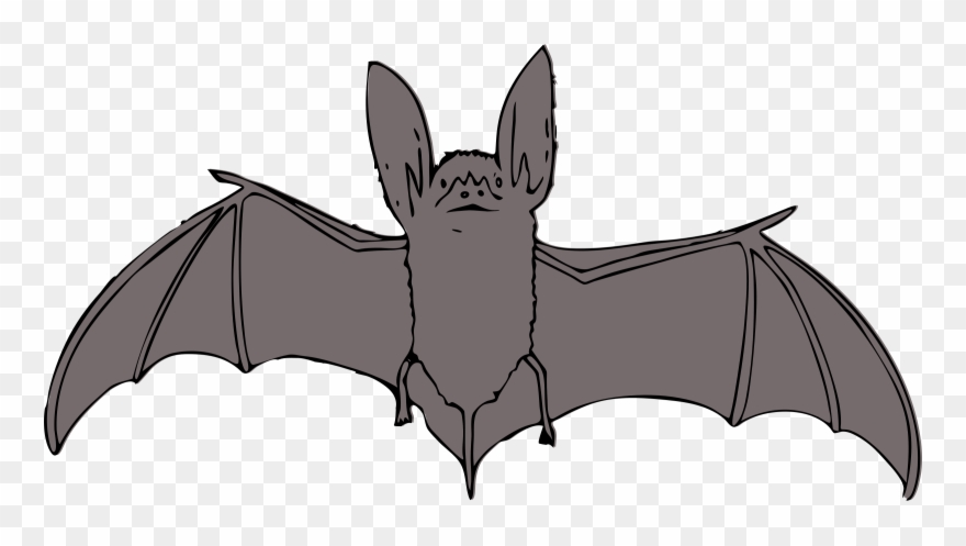Bat - Bat With Open Wings Clipart