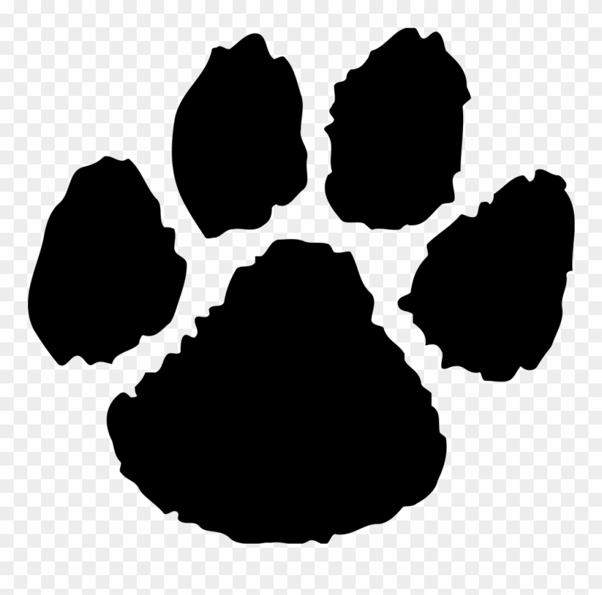 East Chapel Hill Wildcats Clipart