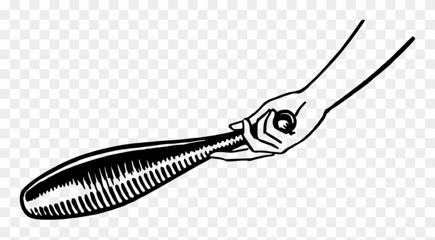 Line Art - Clip Art - Png Download