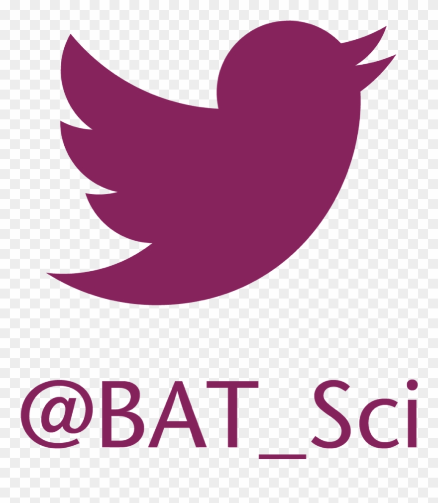 All Poster Materials Will Be Fully Available Online - Free Twitter Icon Png Clipart