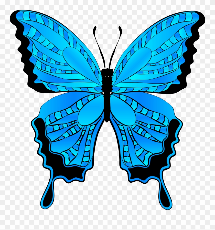 Butterfly Clipart Free Clipart Images Cliparting - Butterfly Clip Art Blue - Png Download