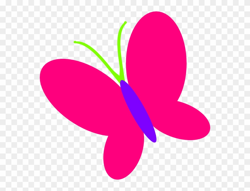 Clipart Colorful Butterfly - Png Download