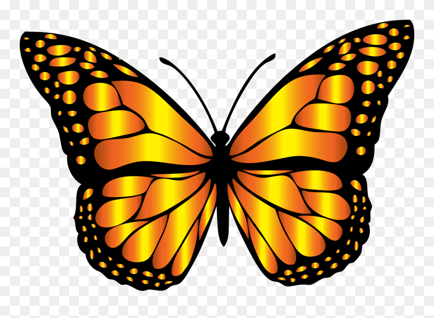 Butterfly Clip Art Free Download On - Butterfly Clip Art - Png Download