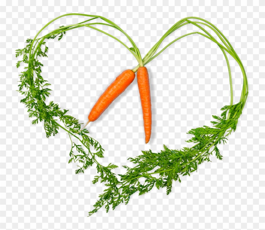 Clip Art Free Beyond Compare Bundt Cake - Alt Attribute - Png Download