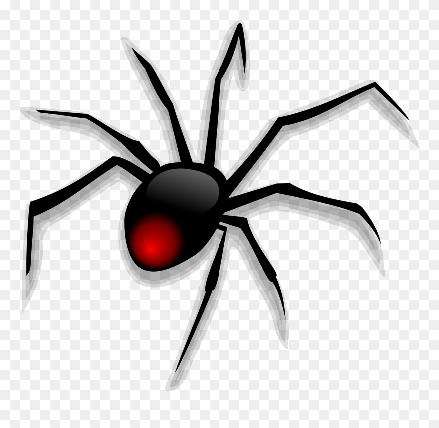 Play Here The Best Spider Solitaire Card Games Online - Cartoon Spiders Clipart
