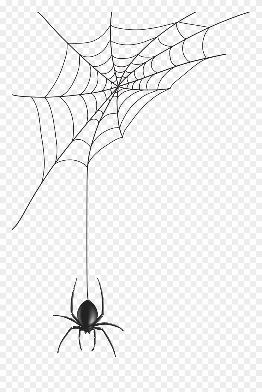 Spider Coming Down Web Clipart
