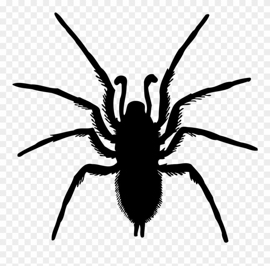Spider Drawing Silhouette Computer Icons - Spider Silhouette Png Clipart