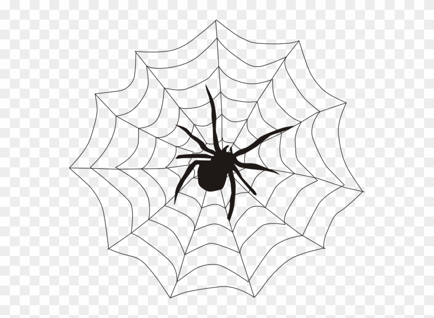 Spider And Web Clip Art - Spider On A Spider Web - Png Download
