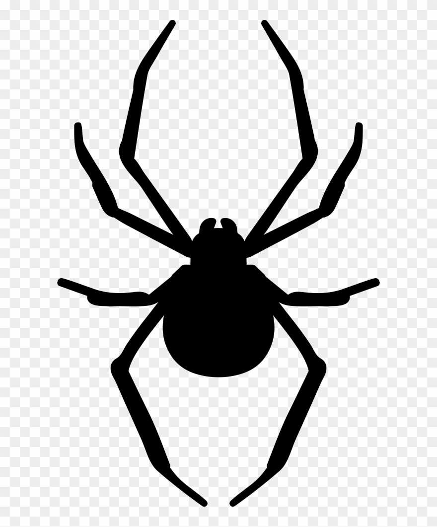 Spider Clipart Arthropod - Spider Vector Png Transparent Png