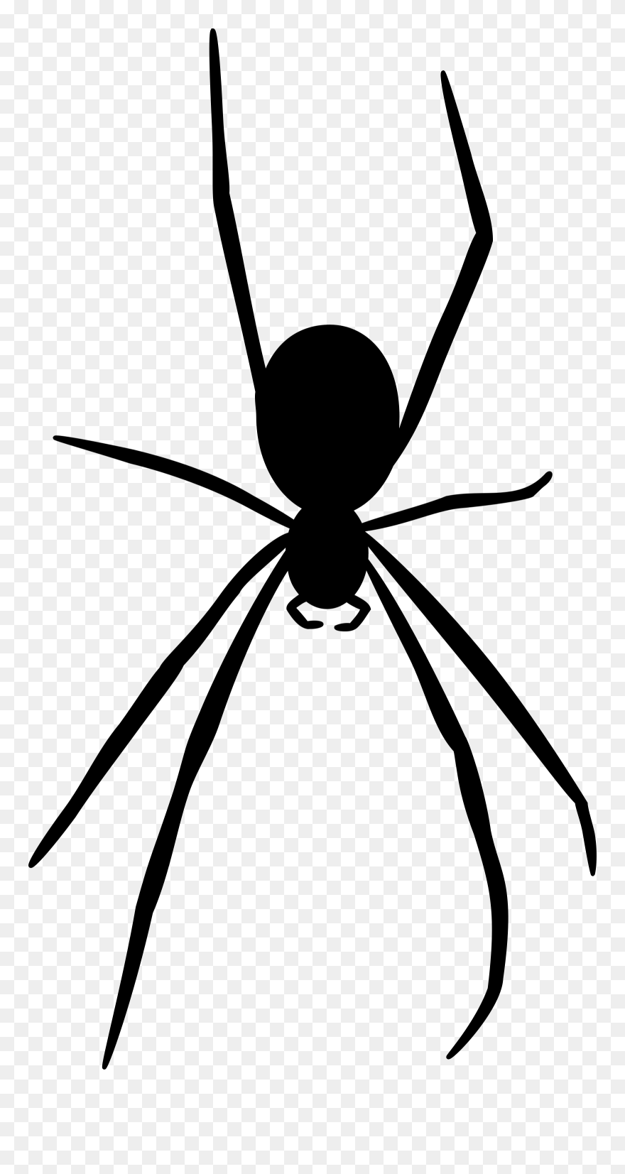 Free Spider Silhouette Free Spider Free Black - Realistic Spider Clip Art - Png Download