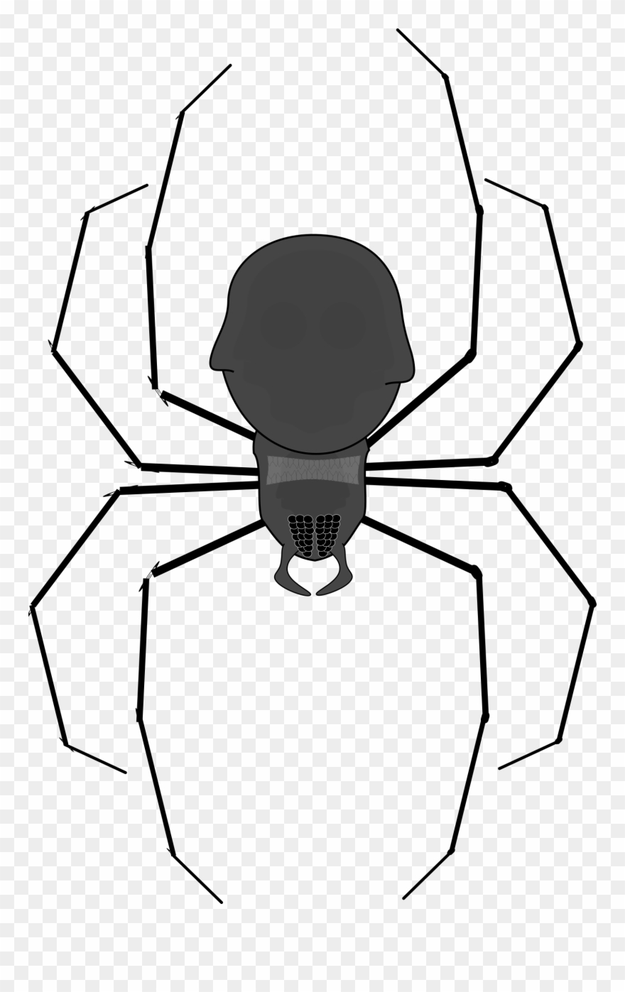Onlinelabels Clip Art - Spider Clip Art - Png Download