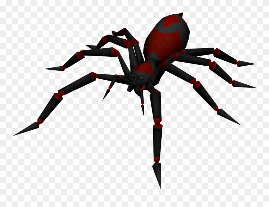 Spider Clipart Trail - Poisonous Spider Png Transparent Png