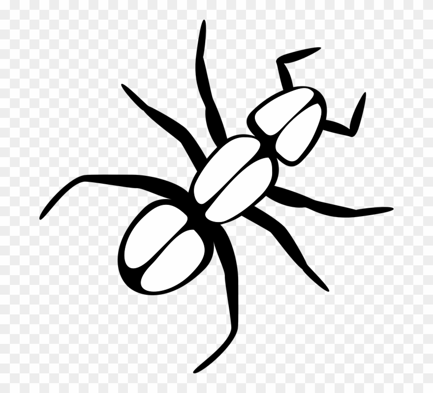 Ant Black And White Ant Free Illustrations On Pixabay - Outline Of An Ant Clipart