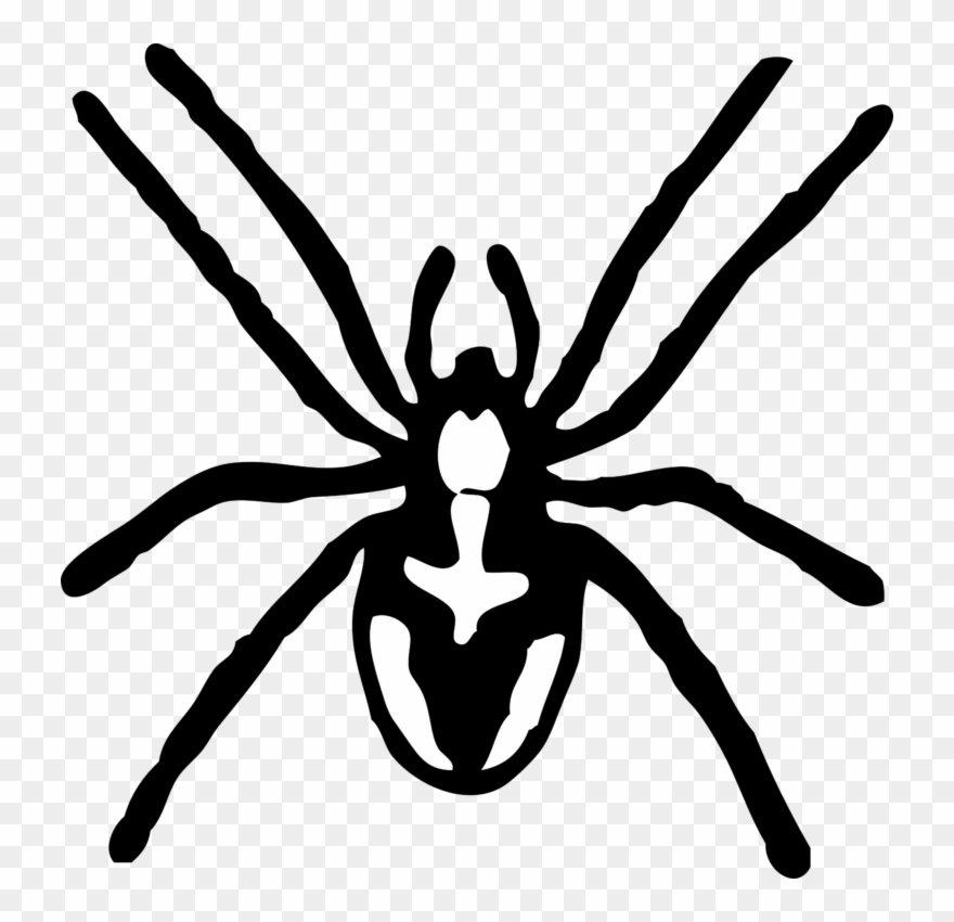 Spider Black And White Spider Clipart Black And White - Spider Clip Art Black And White - Png Download