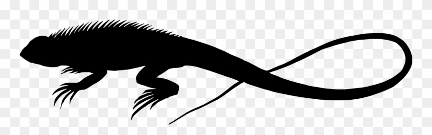 Lizard Reptile Silhouette Chameleons Drawing - Lizard Silhouette Clip Art - Png Download