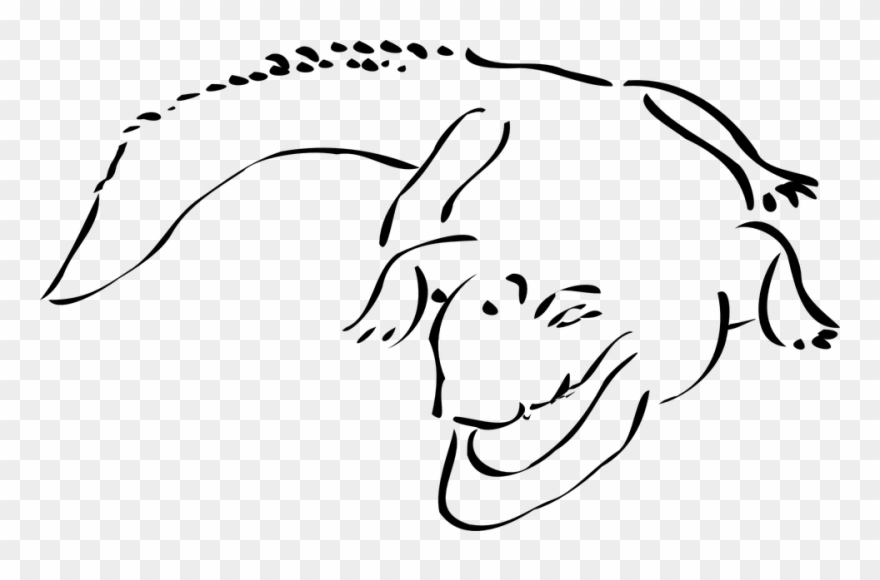 Swamp Clipart Crocodile Swamp - Crocodile Outline Png Transparent Png