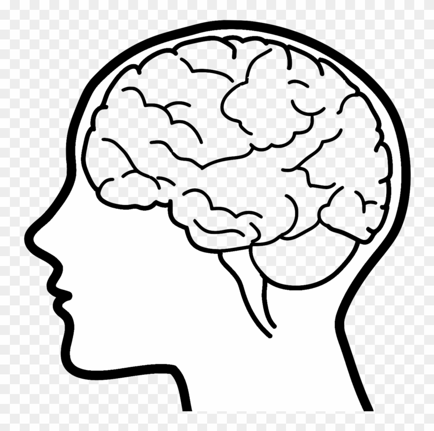 Brain Clipart Brain Drawing Clip Art - Crossword Puzzle Book For Adults By Speedy Publishing - Png Download