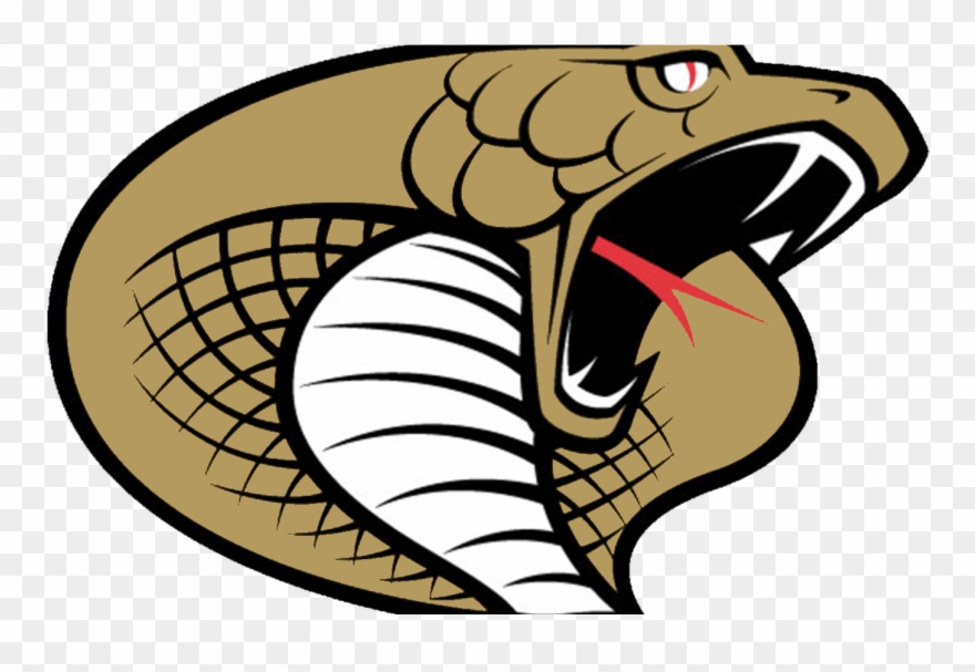 Immagini Cobra Clipart Best - Twiggs County High School Logo - Png Download