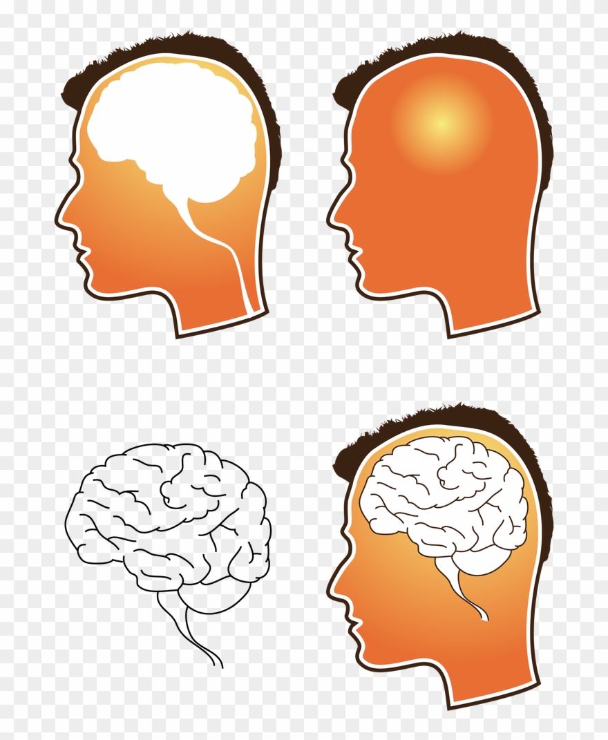 Working Vector Human Brain - Free Vector Brain Clipart
