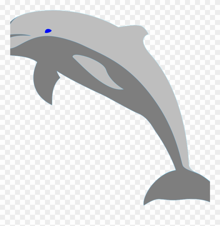Dolphin Clipart Fish Porpoise Sea Free Vector Graphic - Amazon River Dolphin Cartoon - Png Download