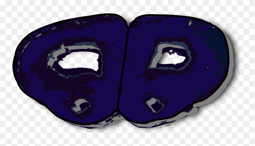 Free Coronal Section Rat Brain - Brain Clipart