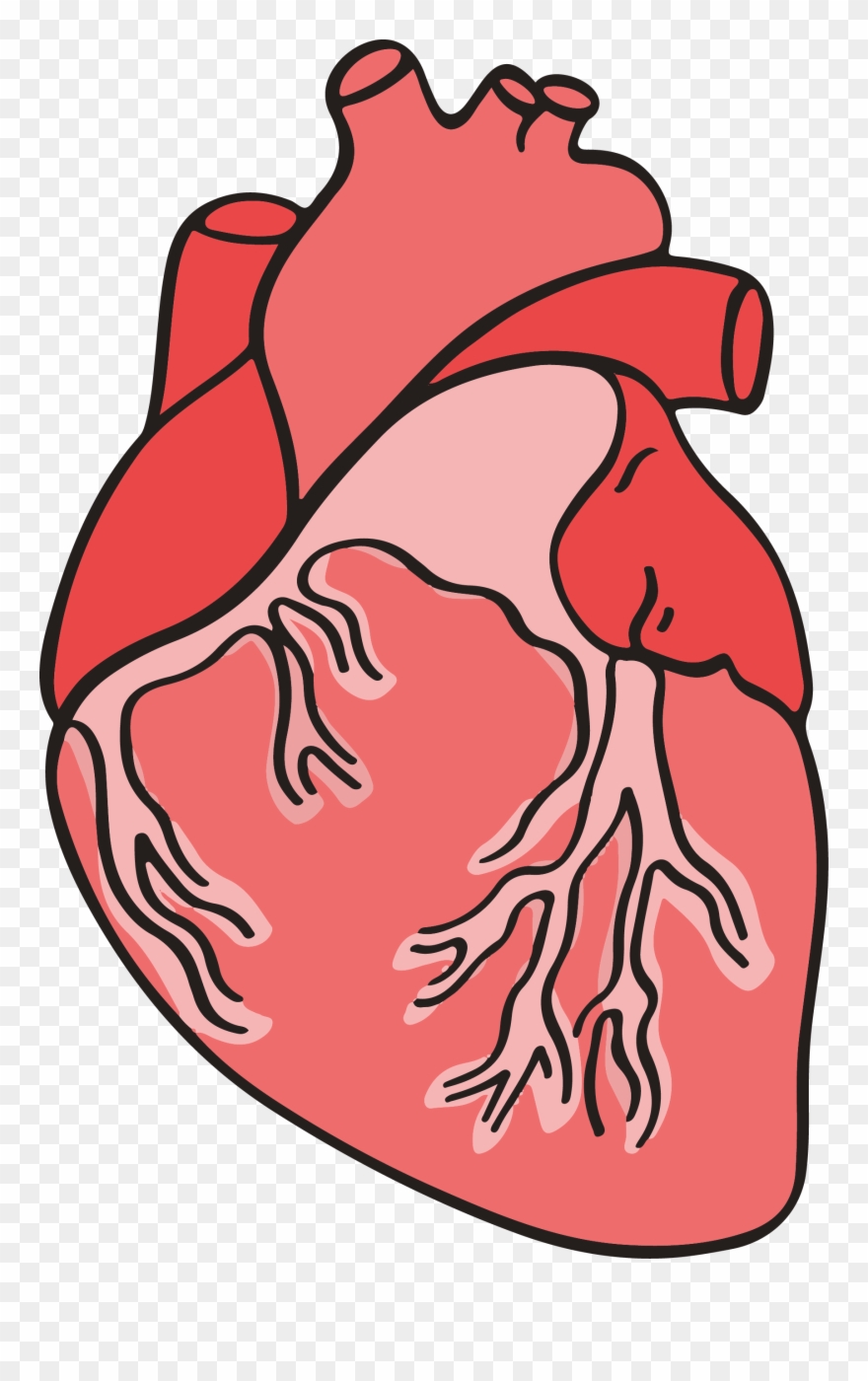 If You're Looking To Trade All-night Partying For A - Clip Art - Png Download