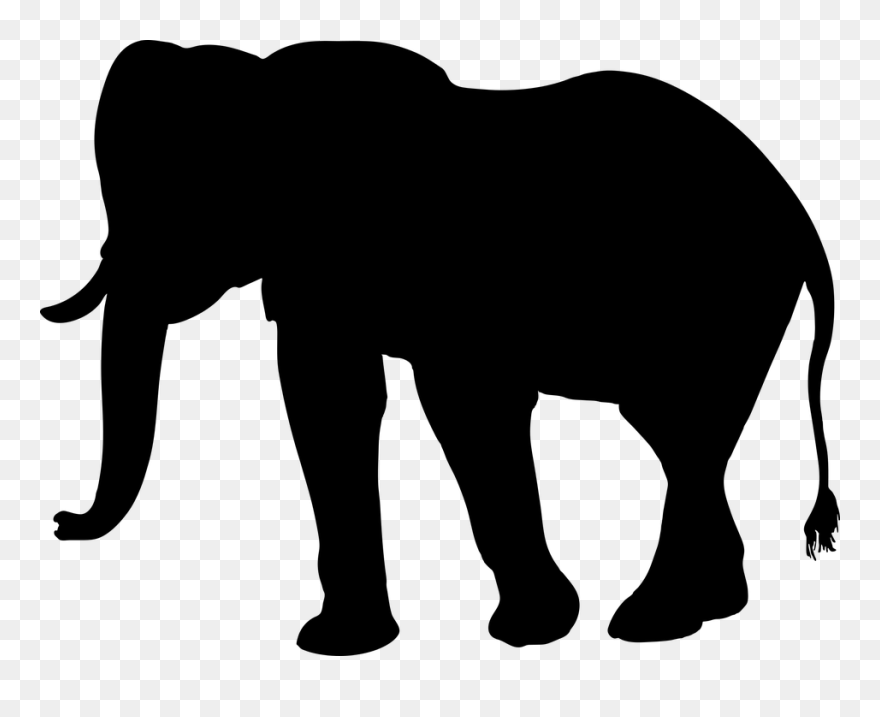 Elephant In The Room Clipart