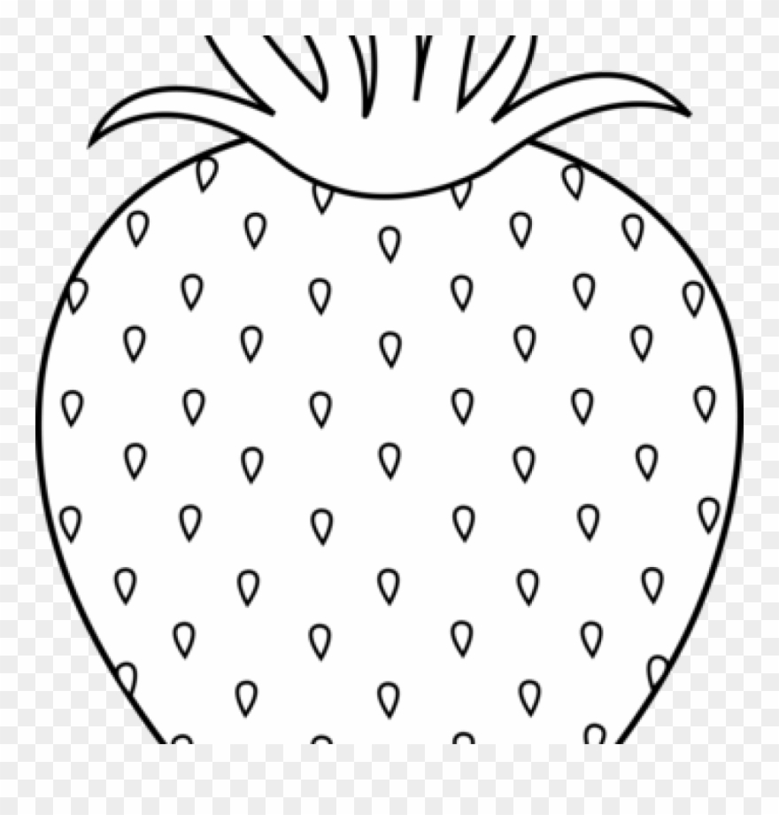 Strawberry Clipart Black And White Strawberry Clipart - Gotas Cuaderno De Malla De Puntos: Volume 5 (barcelona) - Png Download