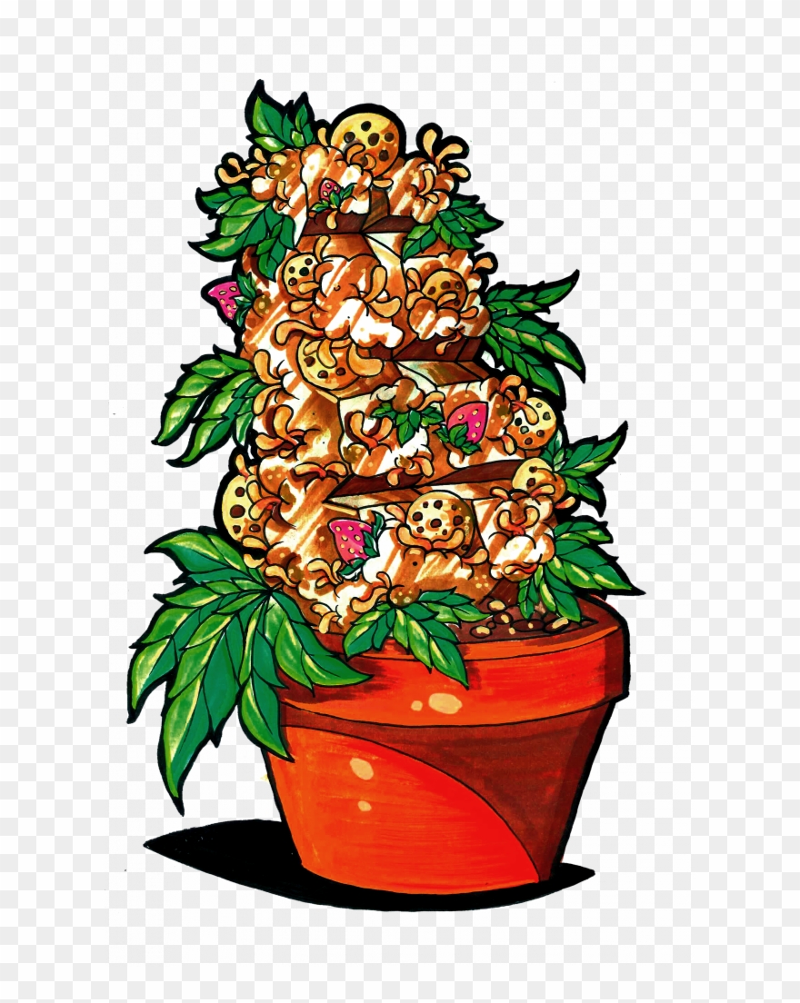 Llega El Dia 420 Y Te Regalamos Semillas De Choco Cookies - Christmas Tree Clipart