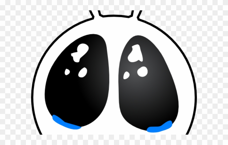 Nose Clipart Alien - Cute Cartoon Animals With Big - Png Download