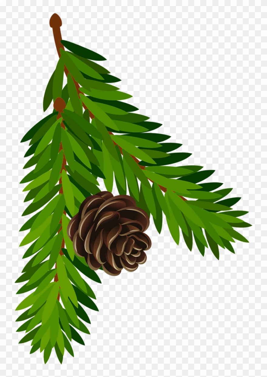 Transparent Clip Art Pine Cone Png