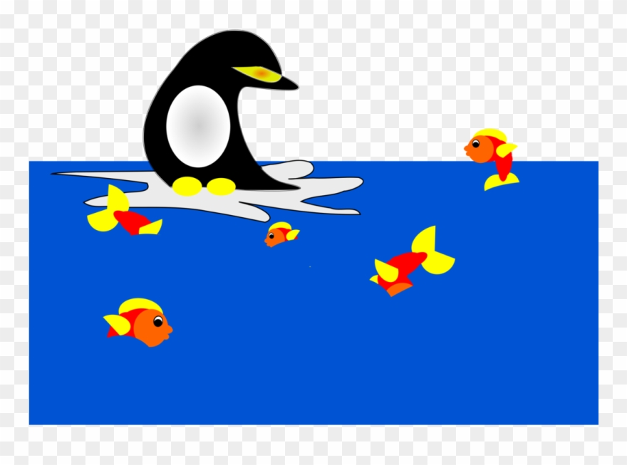 Ducks, Geese And Swans Penguin Water Bird - Water Bird Clipart
