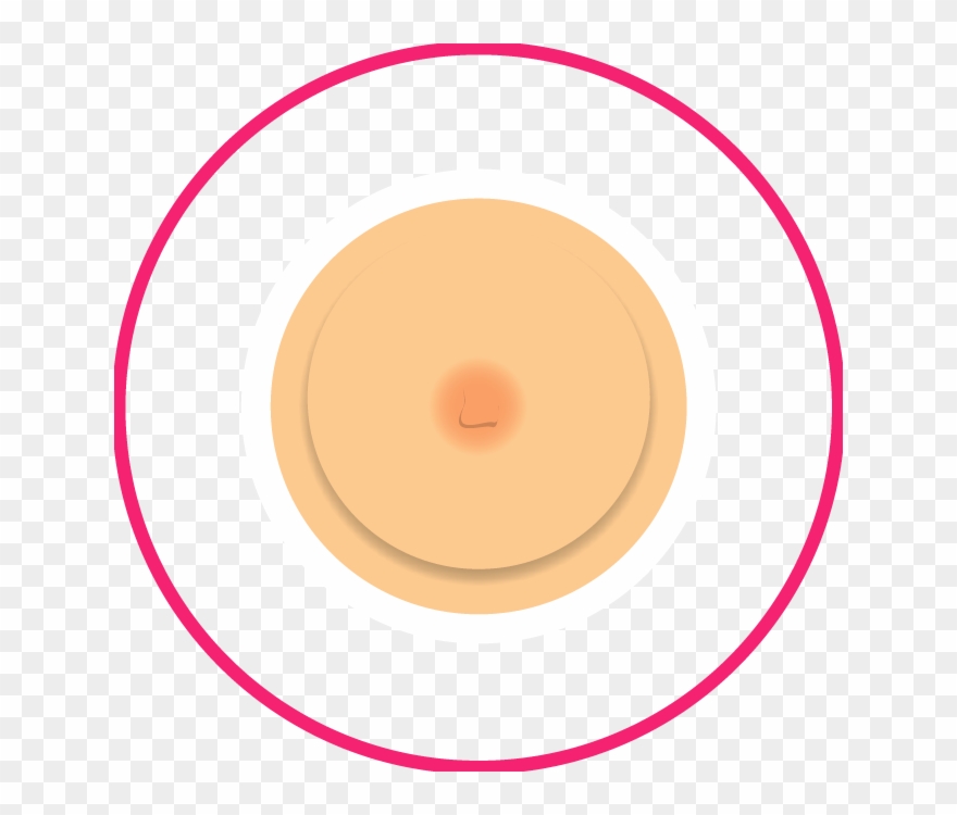 Nipple Shape/size Changes Clipart