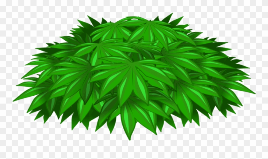 Download Plant Decotransparent Clipart Png Photo