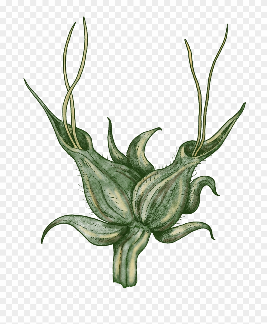 Together We Are Stronger Clipart