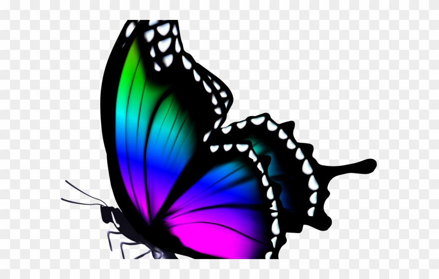 Butterfly Design Clipart Colourful Butterfly - Png Download