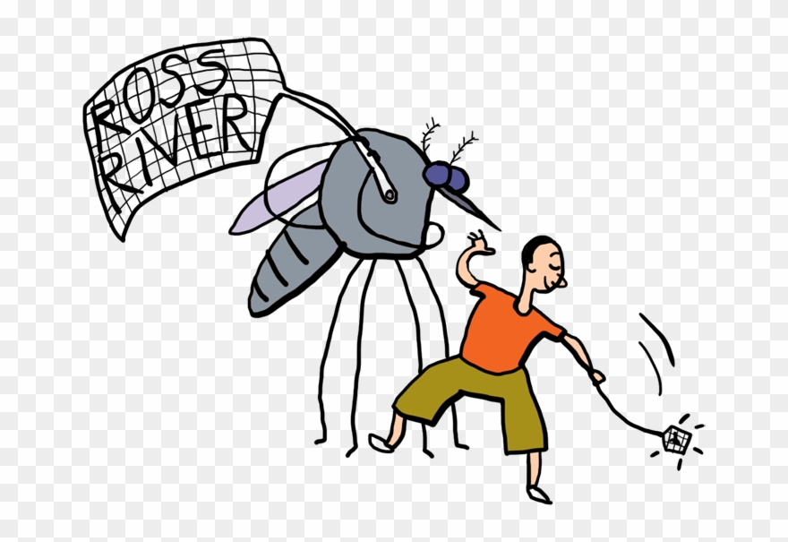 Mozzie Alert Clipart