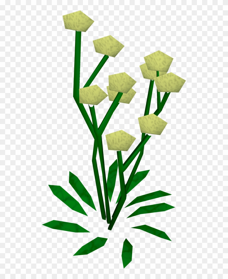 Daffodils Clipart Big Flower - Png Download