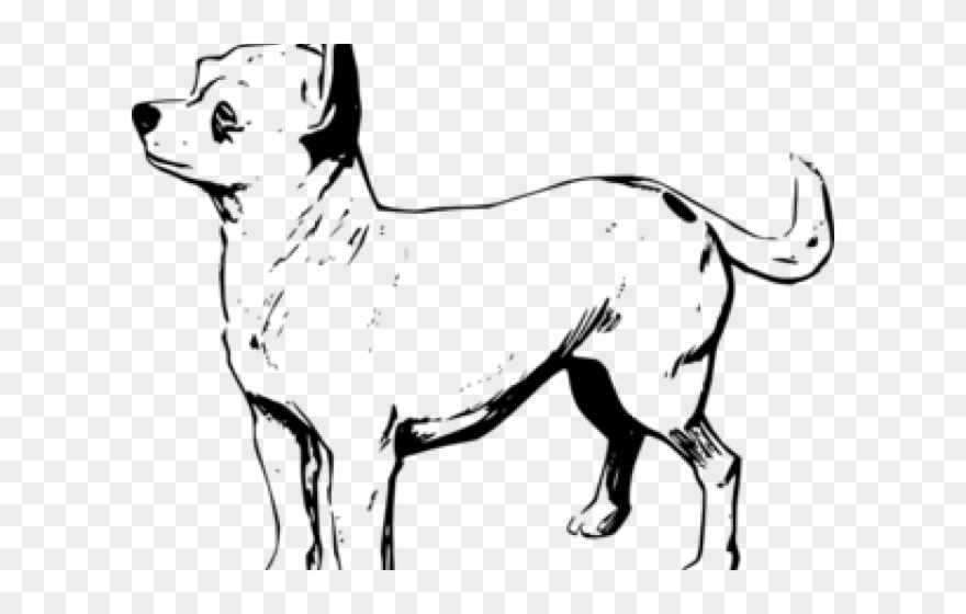 Chihuahua Clipart Outline - Png Download