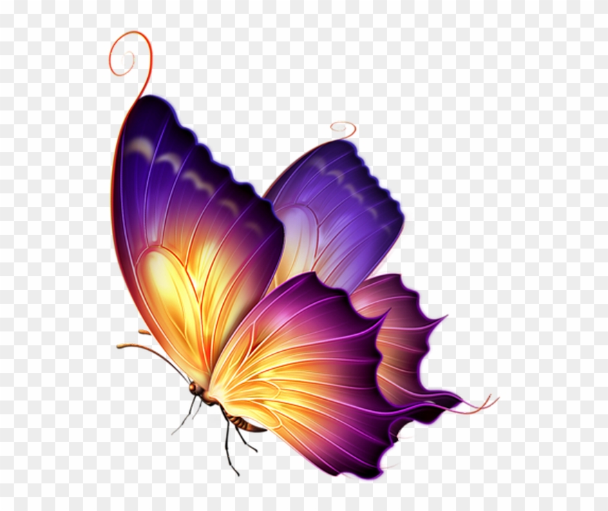 74 Very Beautiful Butterfly Tattoo Designs That You'll Clipart