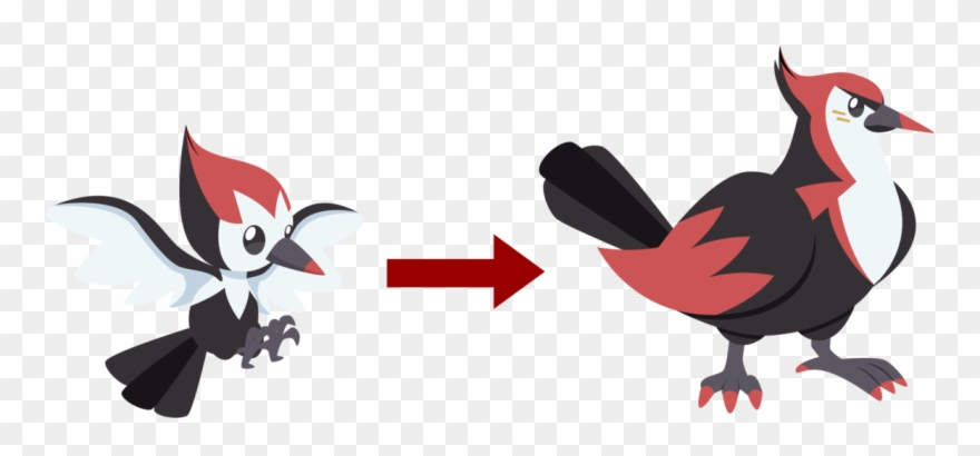 Feet Clipart Woodpecker - Png Download