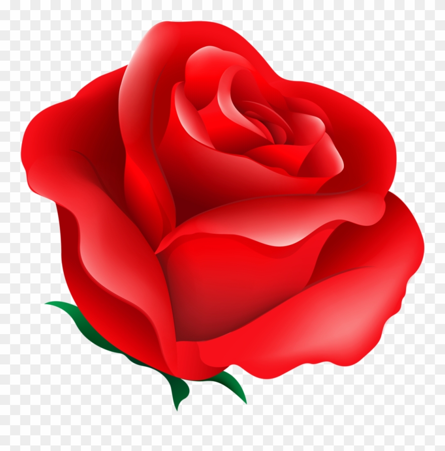 Rღѕє 🌸💗 Rosas Rojas, Arte Floral, Flores De Papel, Clipart