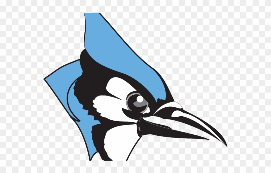 Blue Jay Clipart - Png Download